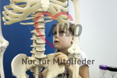 Ein Mädchen schaut sich ein Skelett in einem Labor an